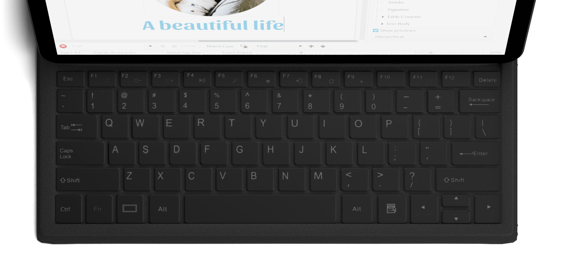 Librem 11